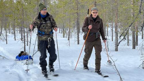 Peltsin toinen luonto