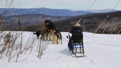 Pontikankeittäjät