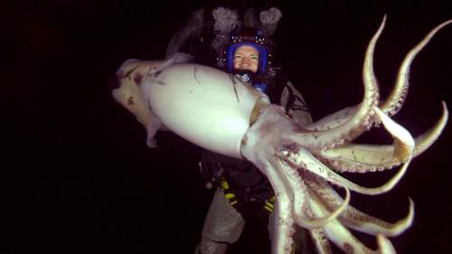 Swimming With Monsters: Steve Backshall