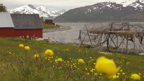 Tiettömän taipaleen takana