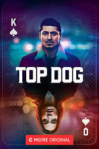 Top Dog