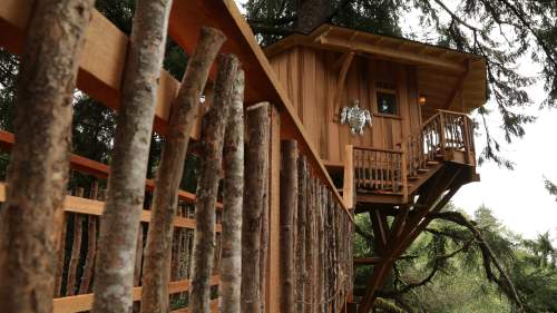 Treehouse Masters