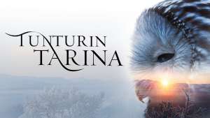 Tunturin tarina