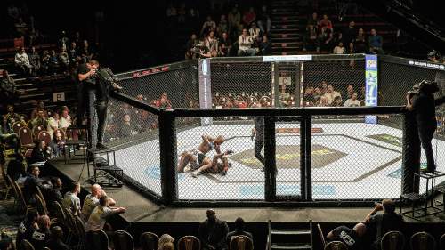 UFC 303: Esiottelut