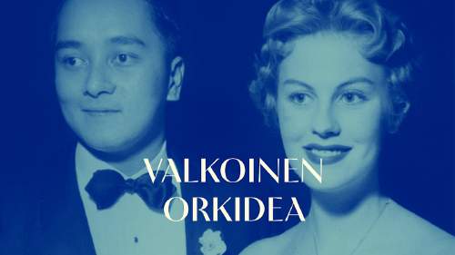 Valkoinen orkidea