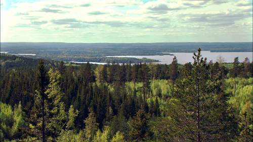 Veden saartamat: Pielinen