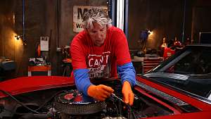 Wheeler Dealers