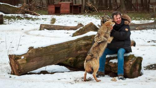 Zoltan The Wolfman